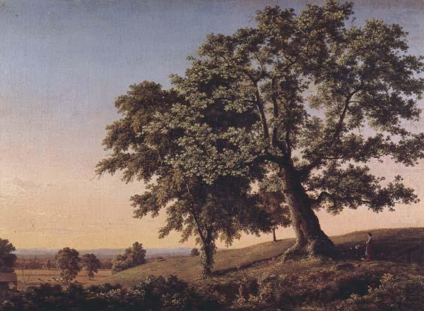 The Charter Oak, Frederic Edwin Church